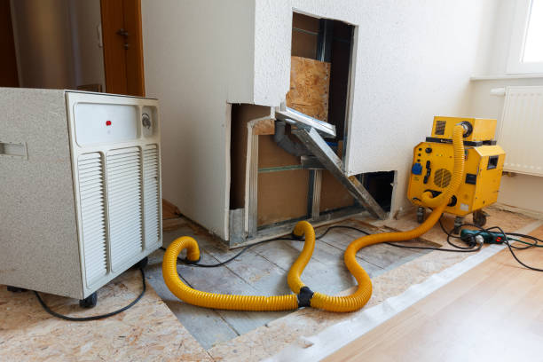 Best Forensic Mold Investigation  in Maywood, CA